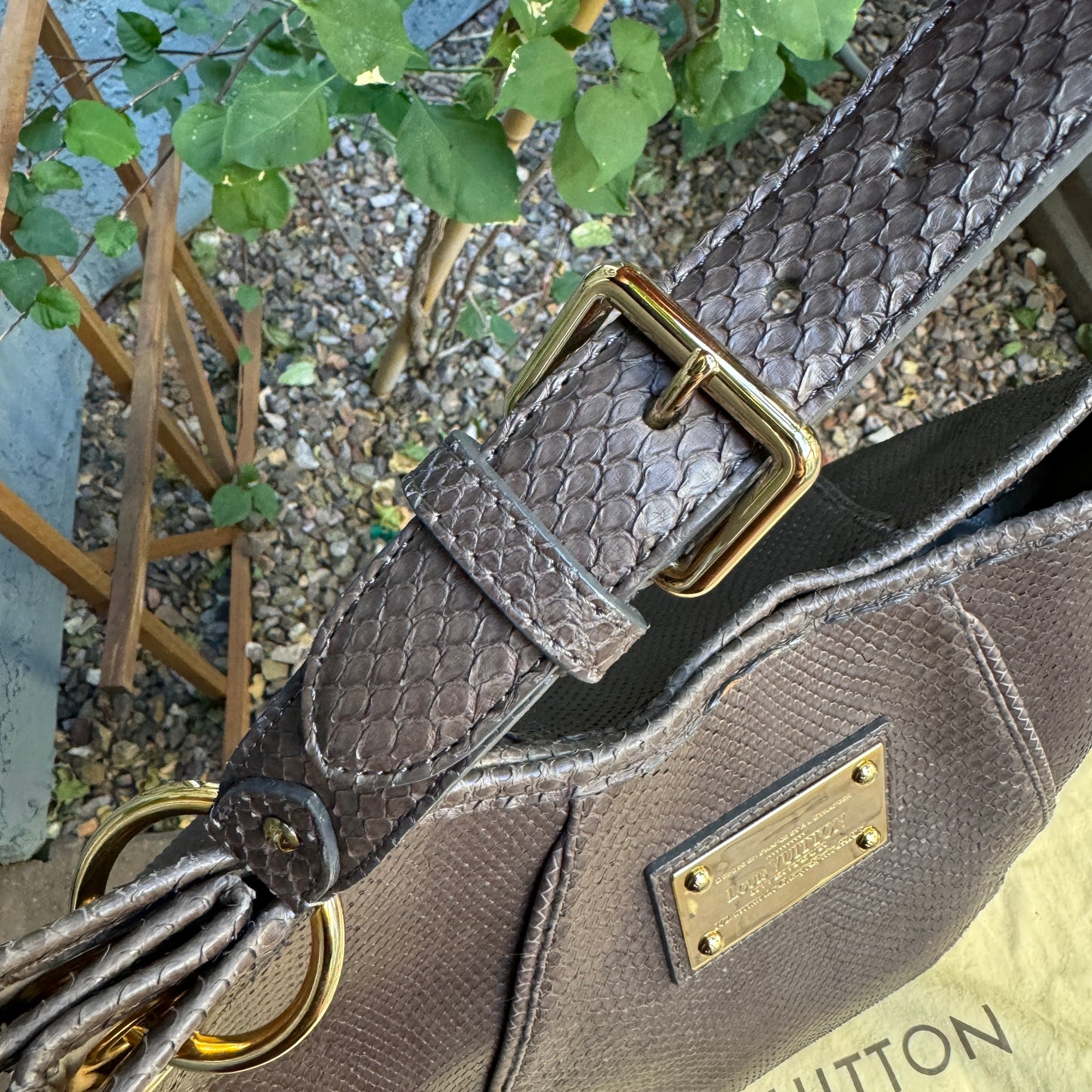 Louis Vuitton Python Galliera PM Shoulder Bag