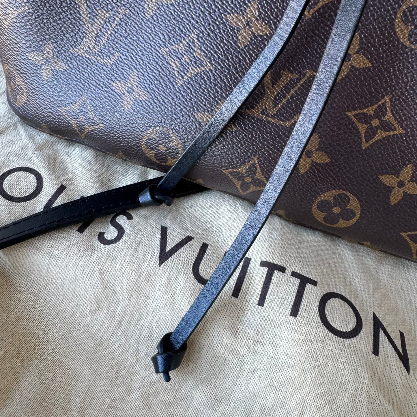 Louis Vuitton Monogram Neonoe MM