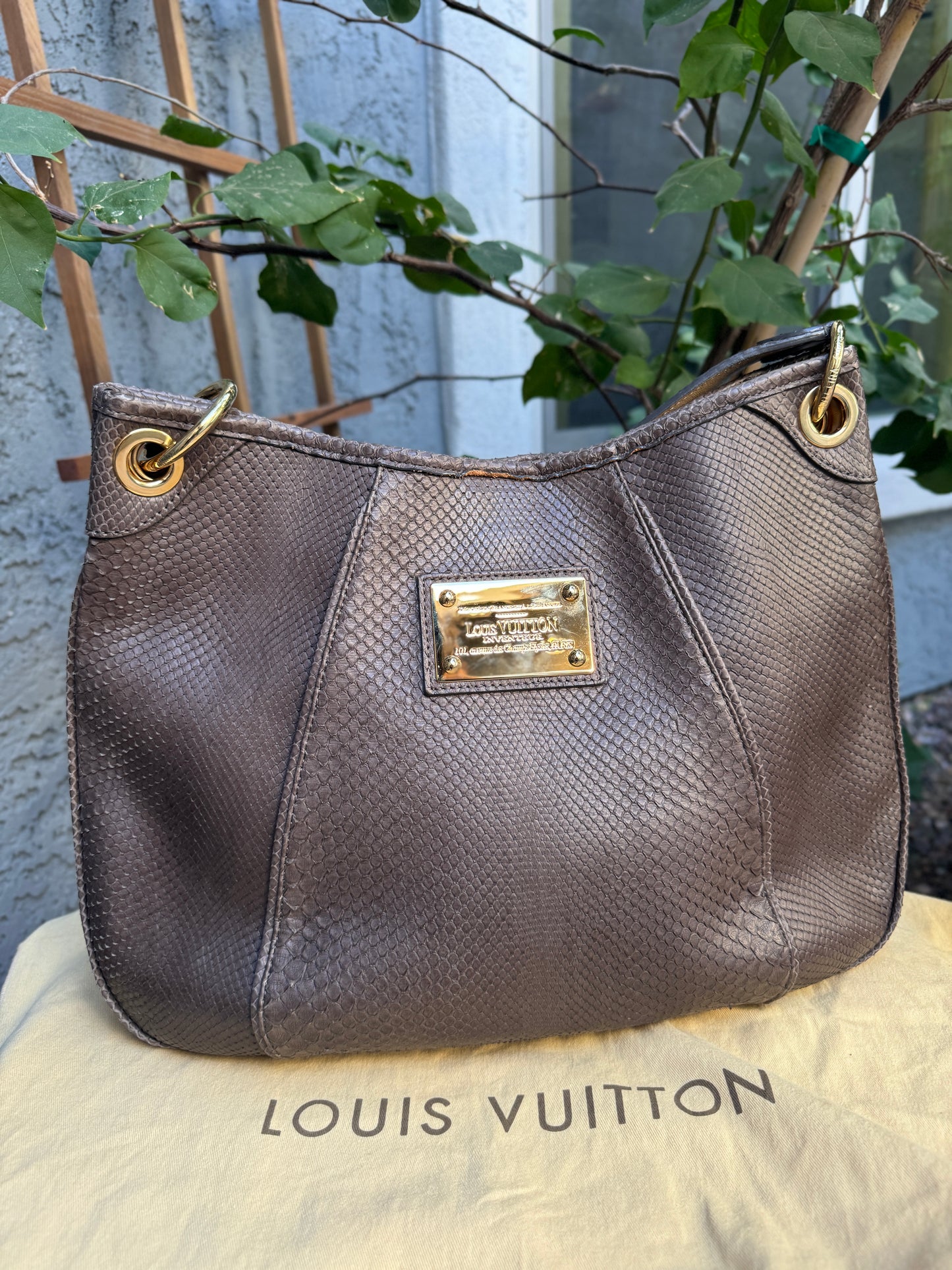 Louis Vuitton Python Galliera PM Shoulder Bag