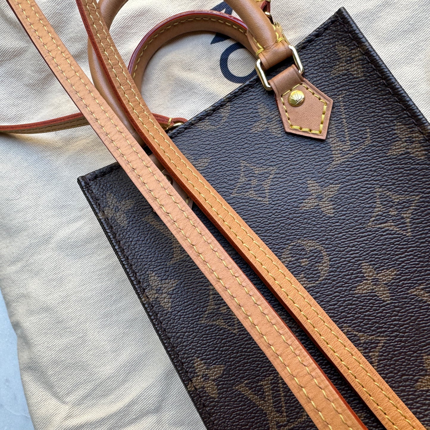 Louis Vuitton Monogram Petit Sac Plat Crossbody