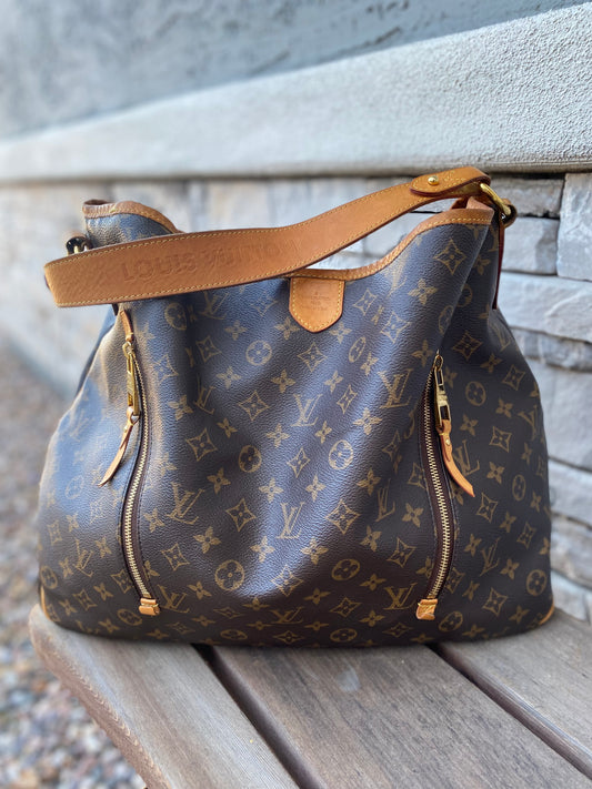 Louis Vuitton Monogram Delightful GM Hobo