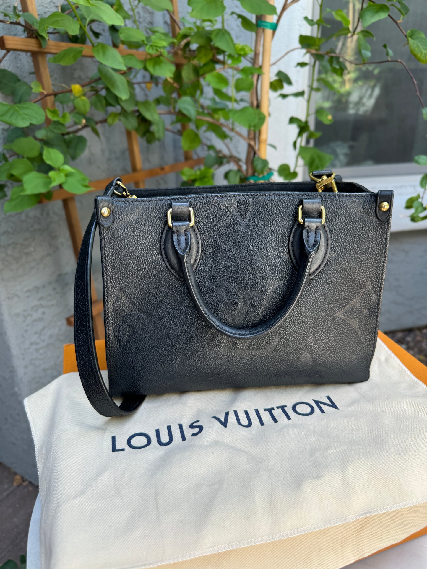 Louis Vuitton Giant Monogram Empreinte OnTheGo PM