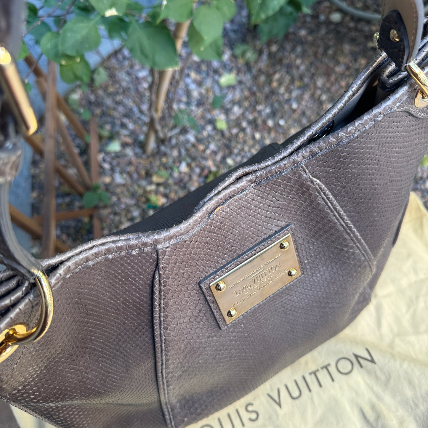 Louis Vuitton Python Galliera PM Shoulder Bag