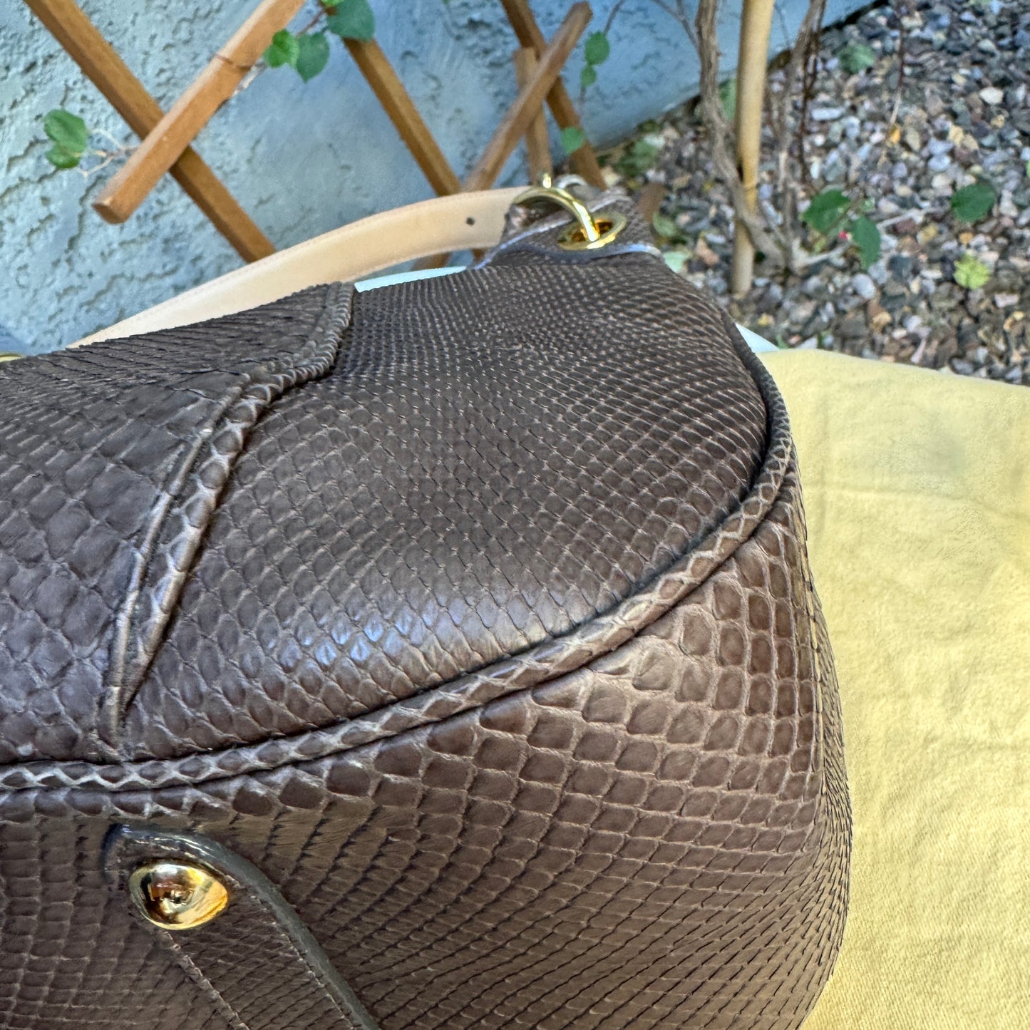 Louis Vuitton Python Galliera PM Shoulder Bag