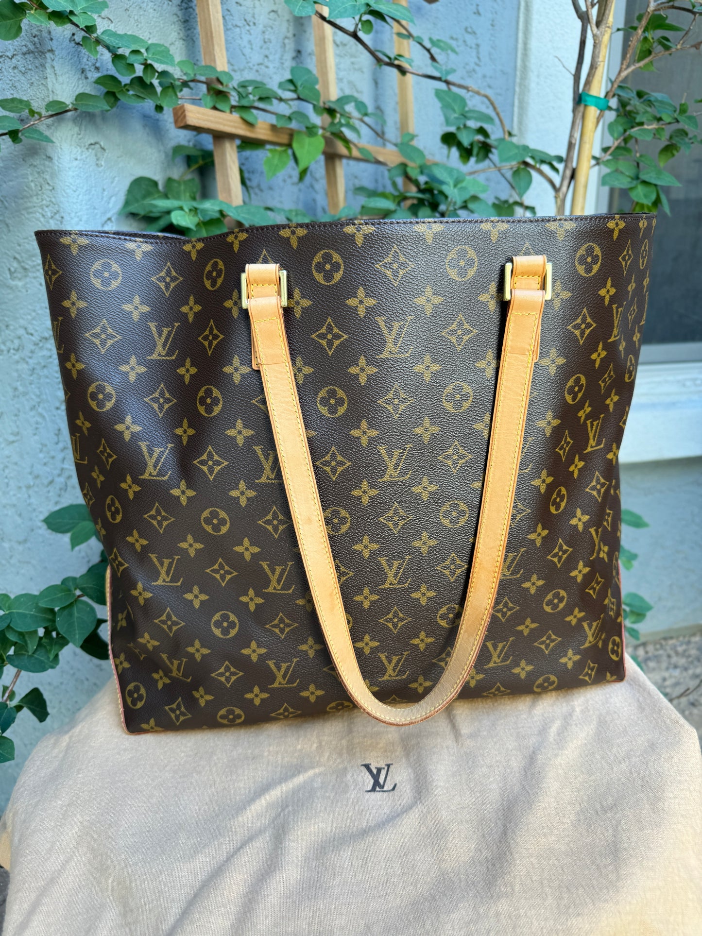 Louis Vuitton Monogram Cabas Alto