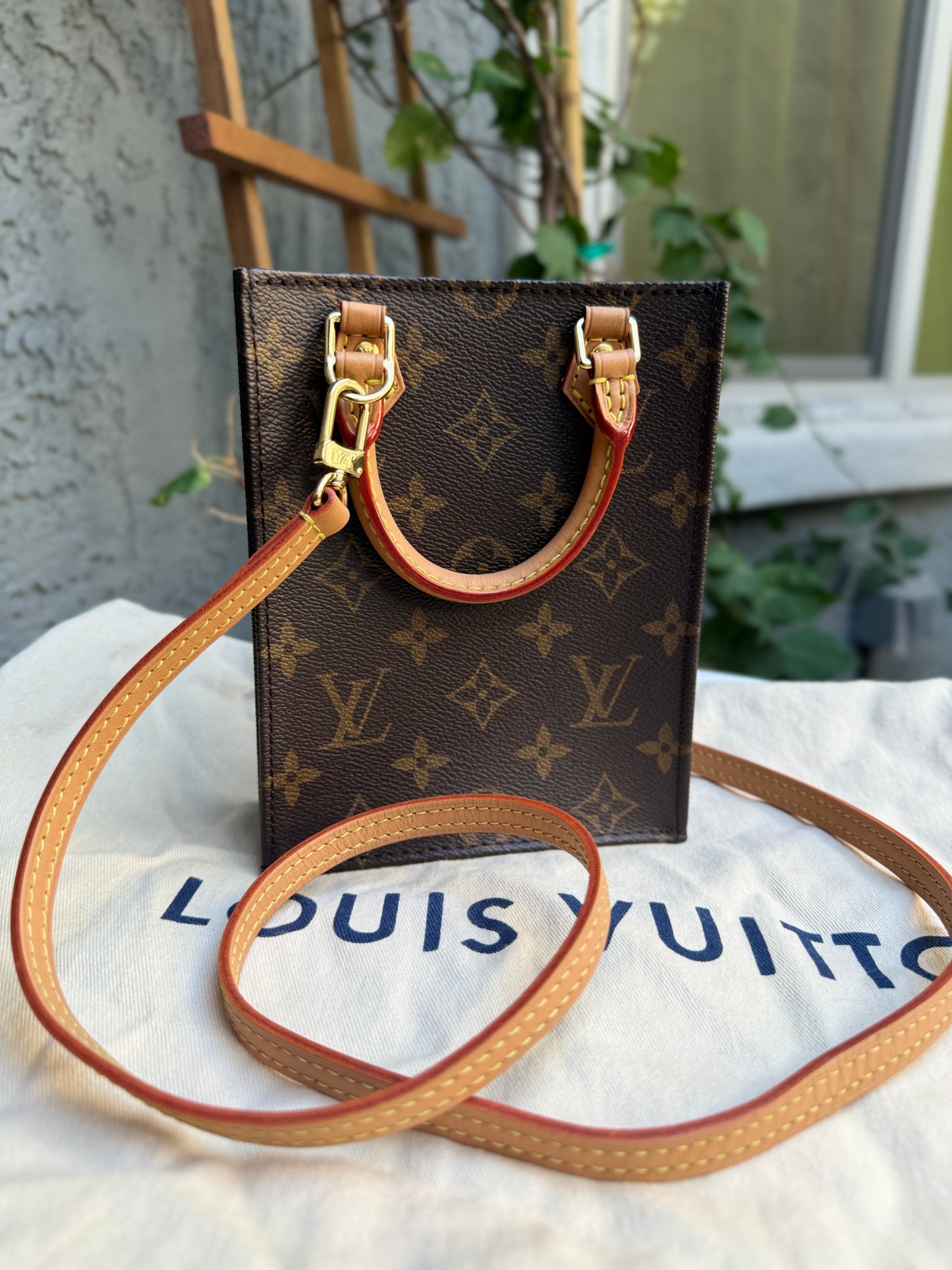 Louis Vuitton Monogram Petit Sac Plat Crossbody