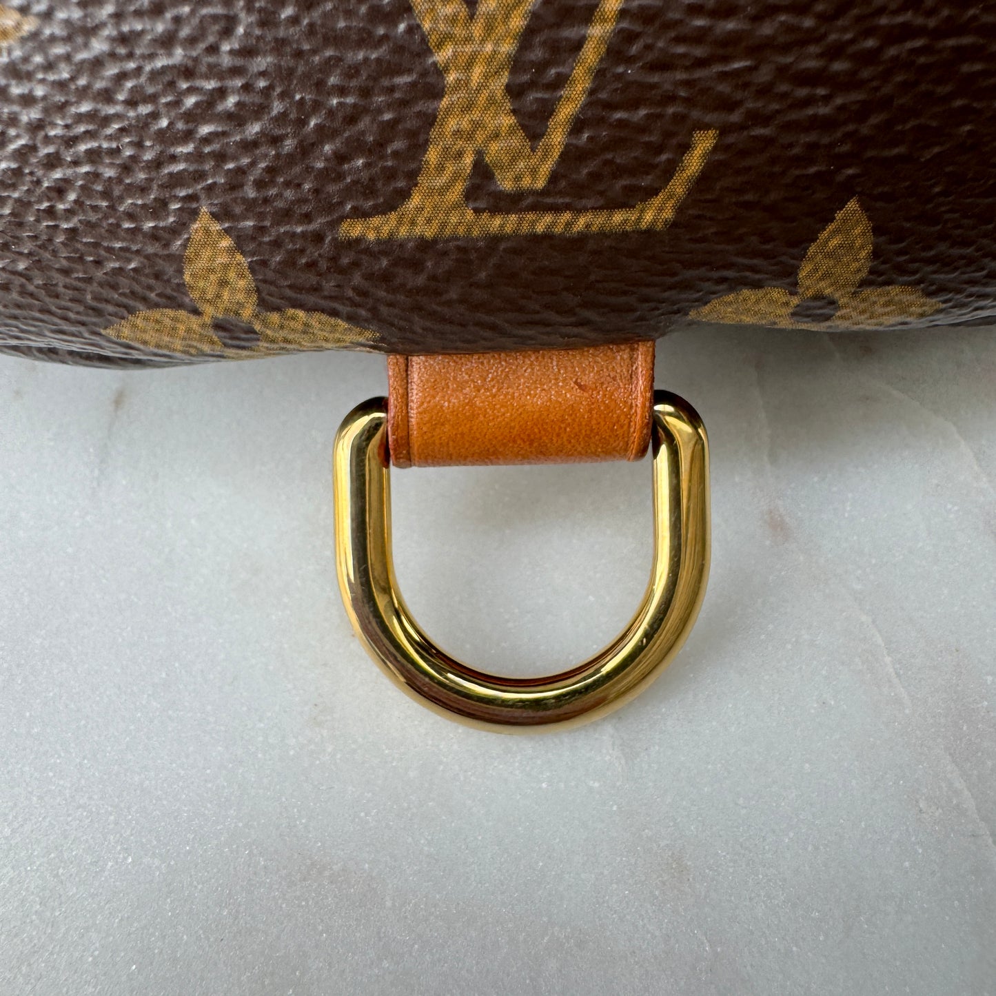 Louis Vuitton Monogram Bumbag