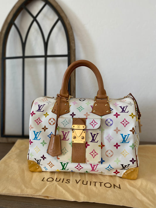 Louis Vuitton Speedy 30 Multicolor