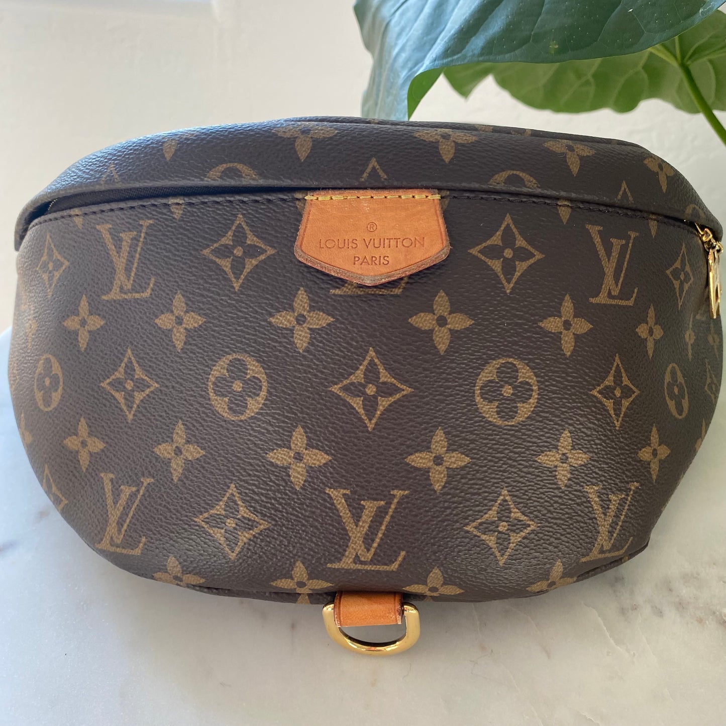 Louis Vuitton Monogram Bumbag Crossbody Waist Bag